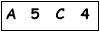salt-2979B420