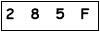 salt-1ED9F874