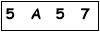 salt-622D6678