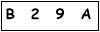 salt-487B7679