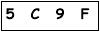 salt-79E6902A