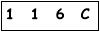 salt-38ACB243