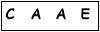 salt-684A2466