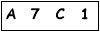 salt-410CCABE